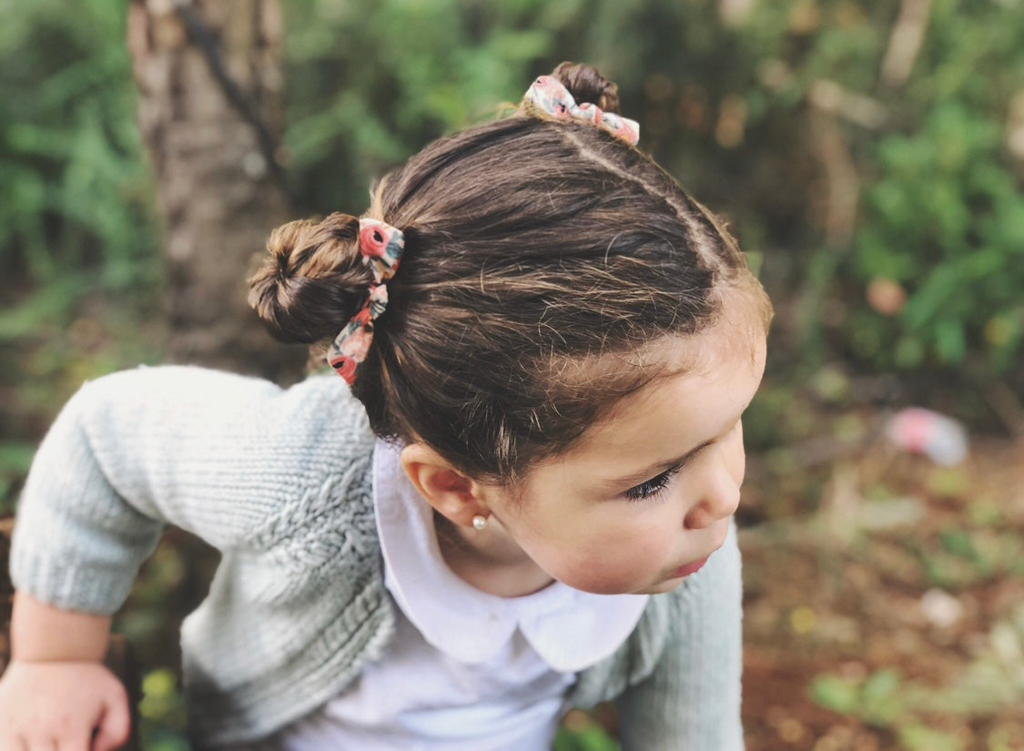 Orejita de oso - Flores coral