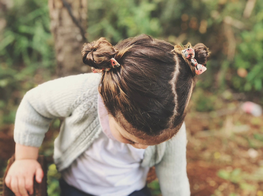 Orejita de oso - Flores coral