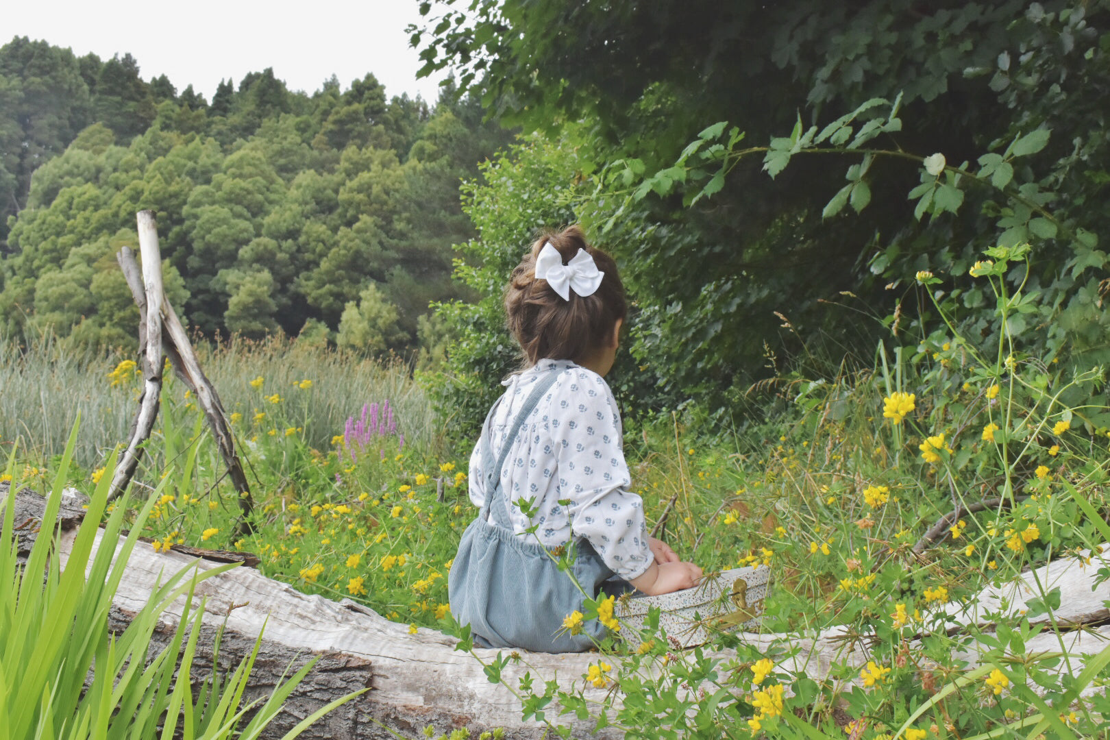 Tulipán grande - Blanca