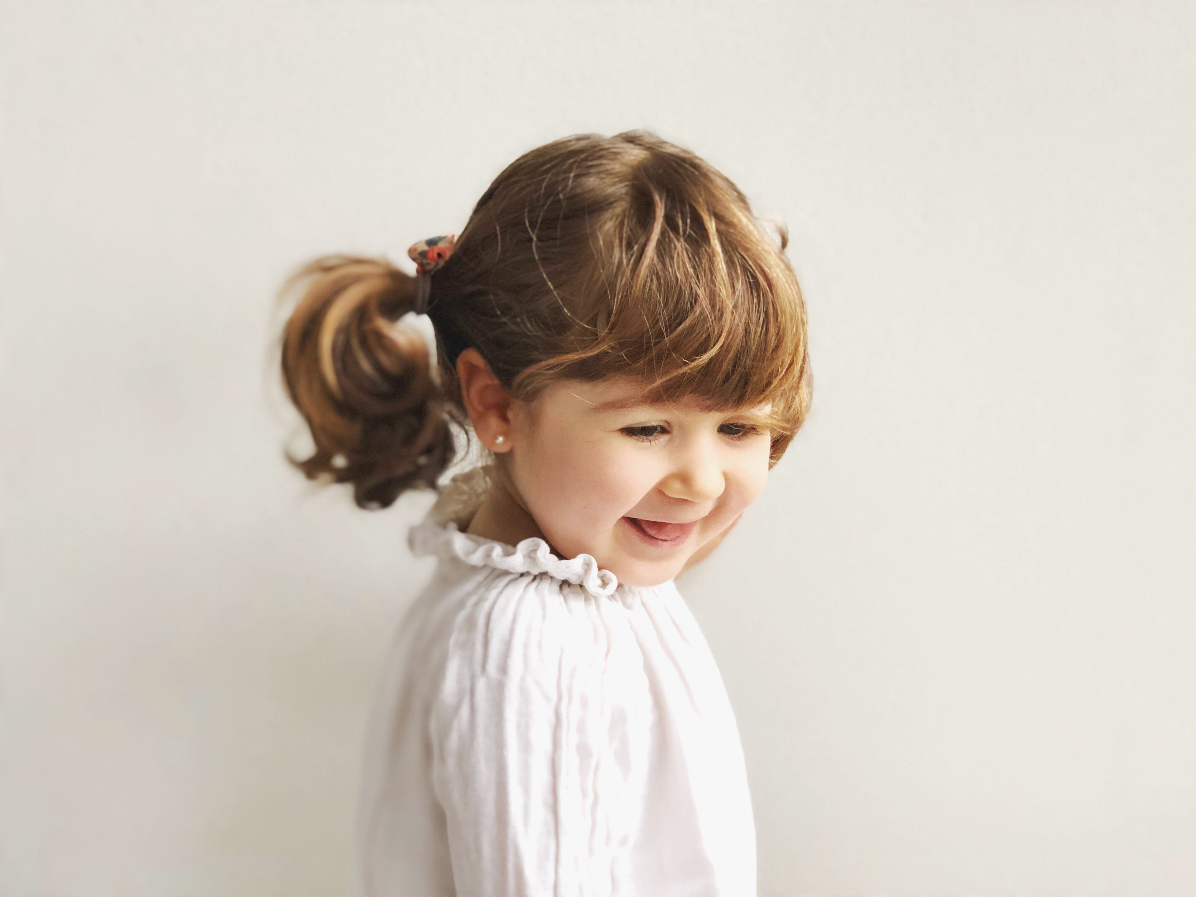 Orejita de oso - Flores coral