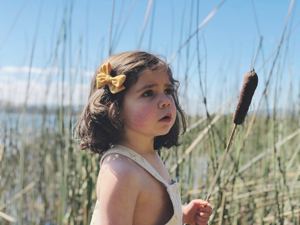 Tulipán mediana - Amarillo