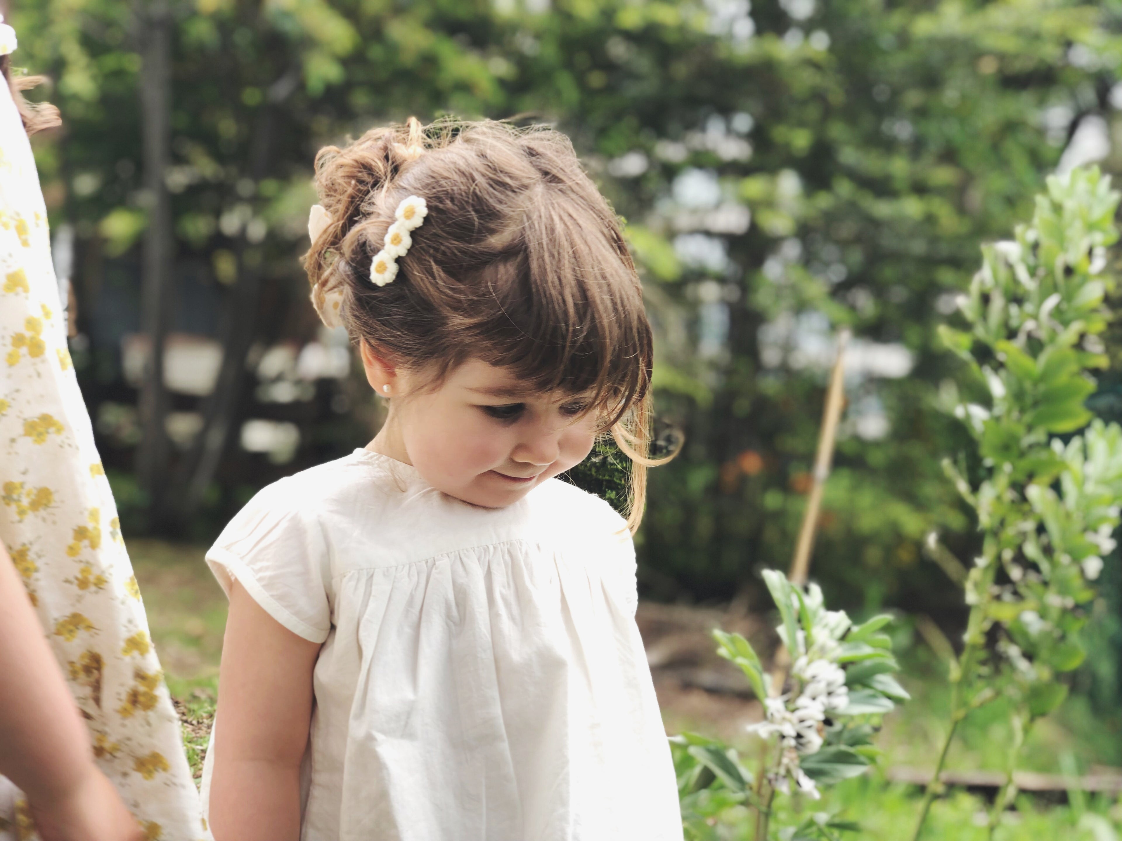 Clip Margaritas bordadas crema