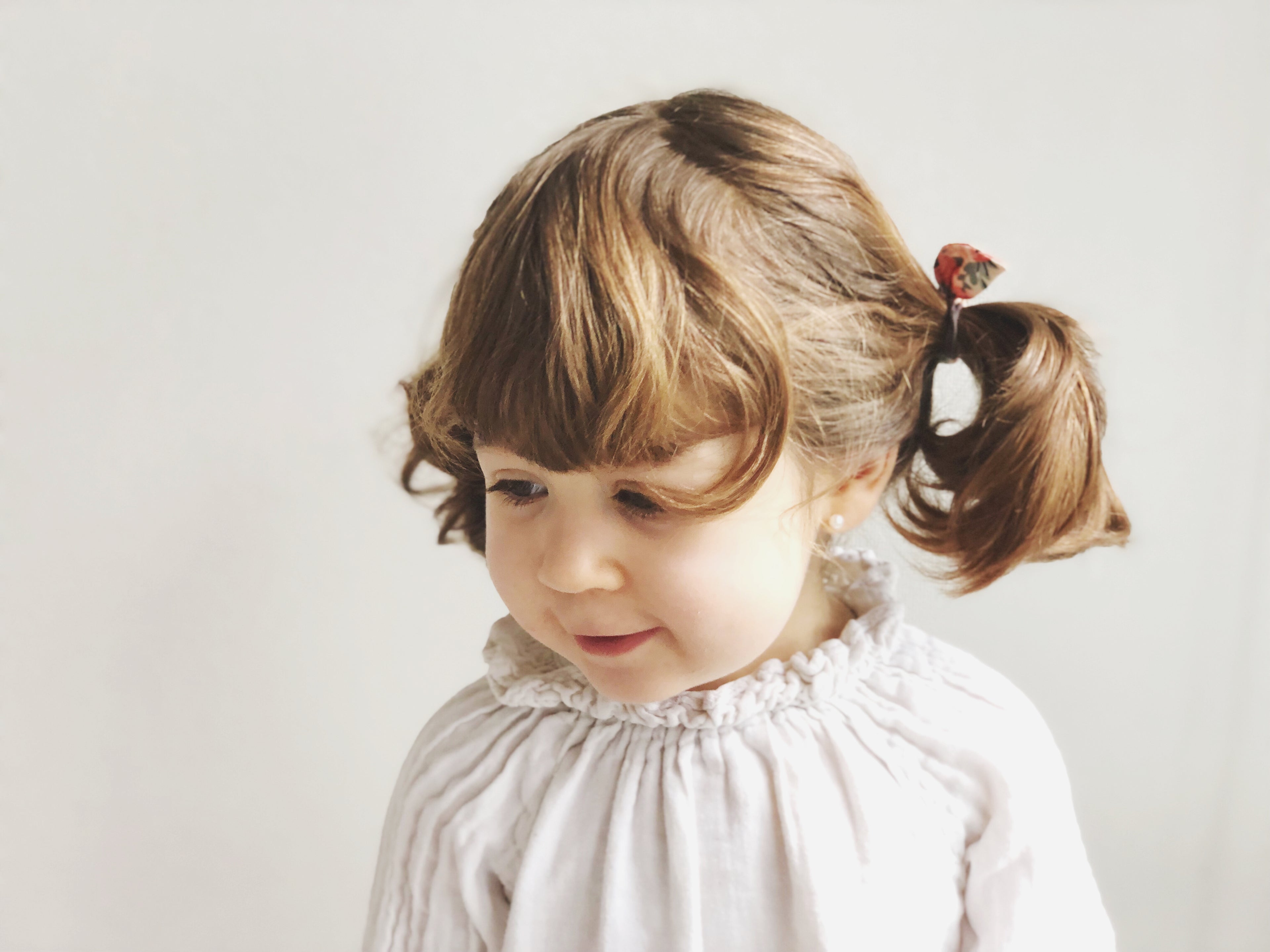 Orejita de oso - Flores coral