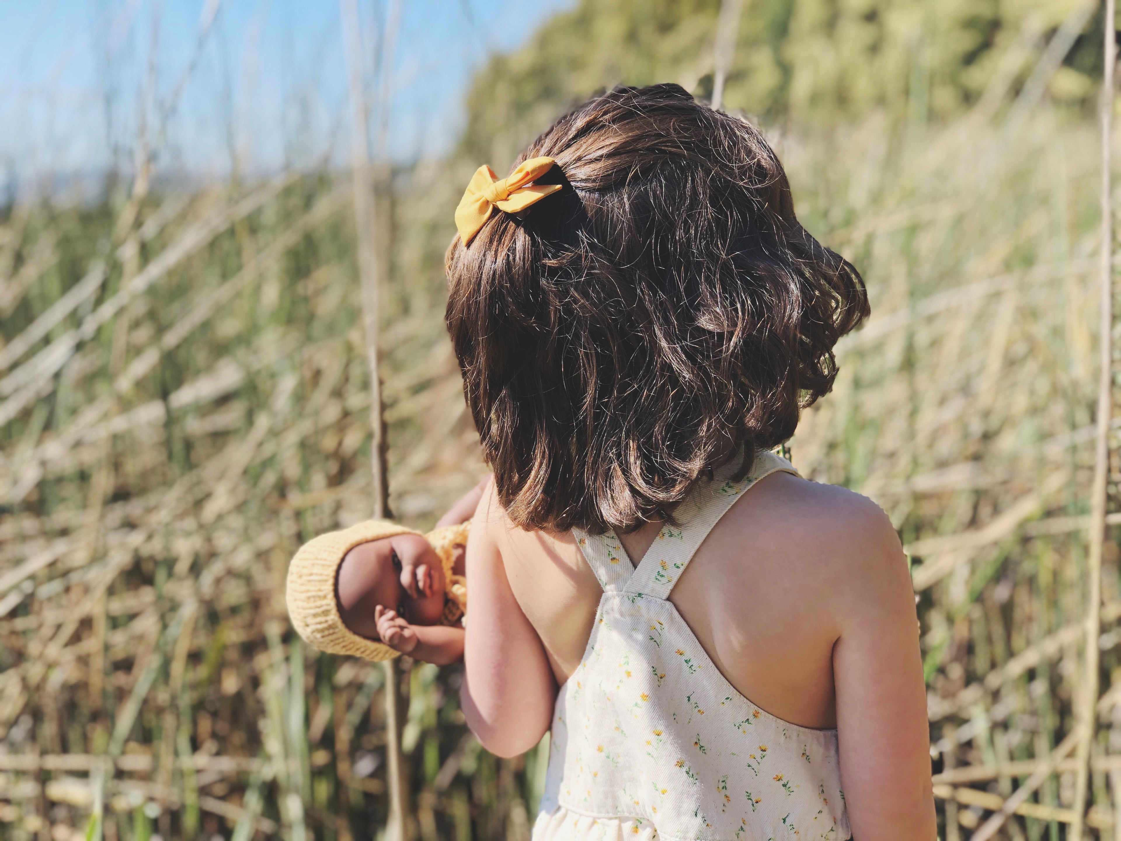 Tulipán mediana - Amarillo