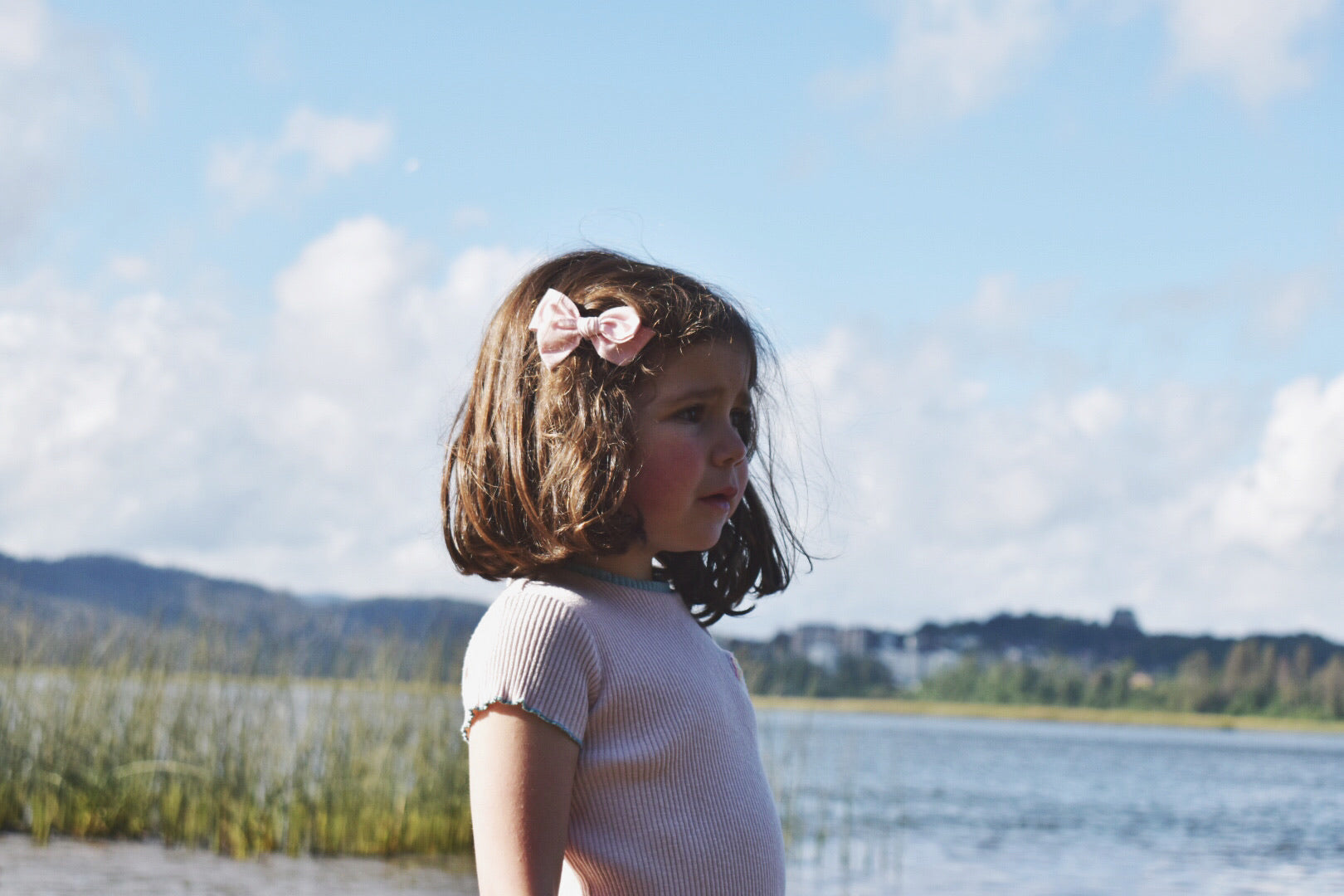 Tulipán mediana - Rosa ballet