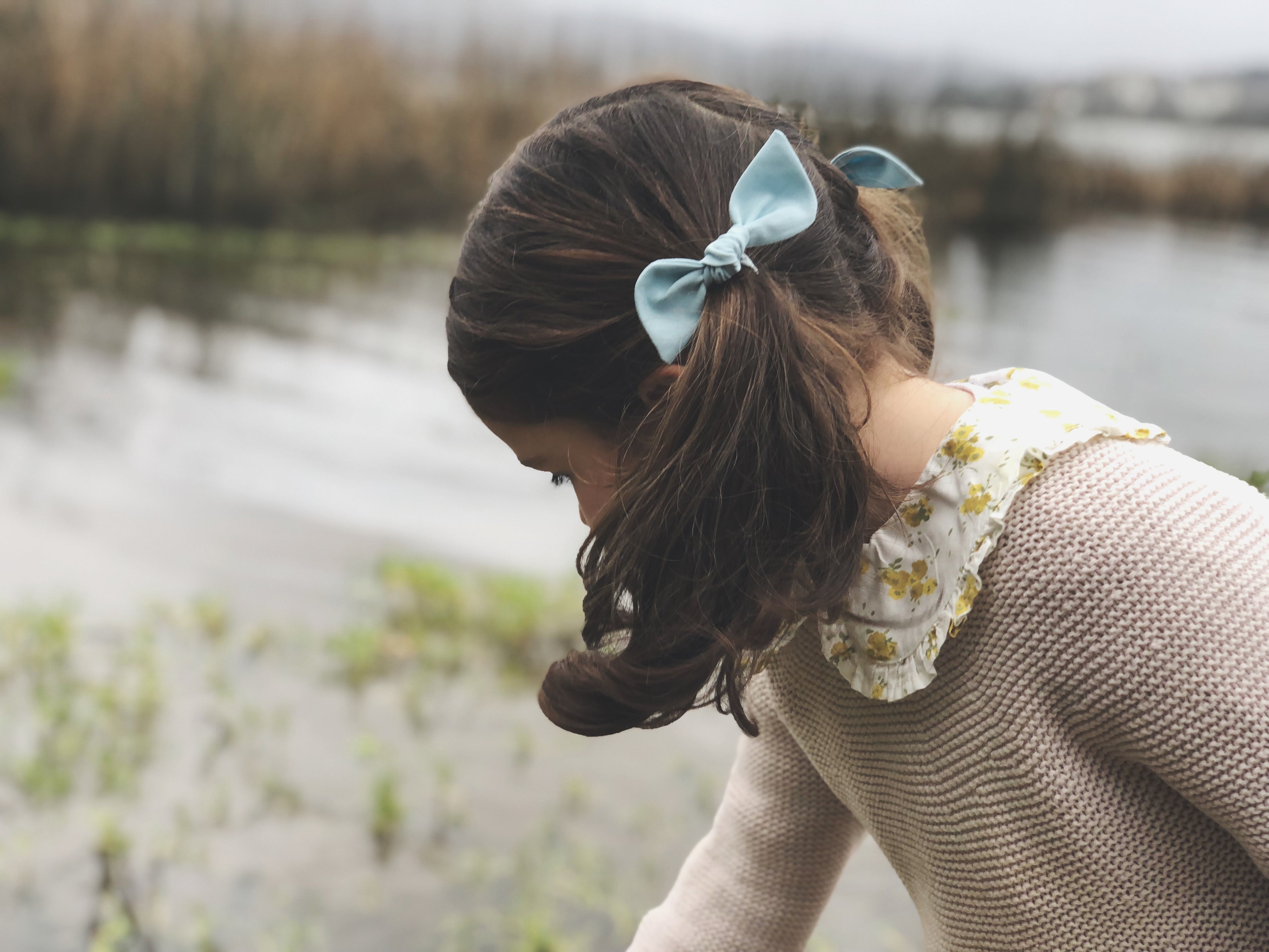 Orejita de oso mediana - Celeste nube